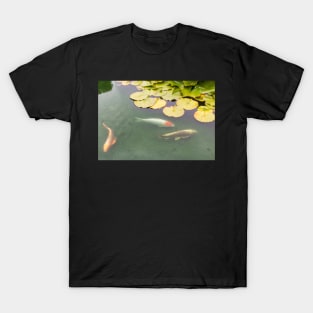 Fish in pond T-Shirt